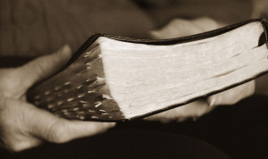 Read your Bible in 1 year!