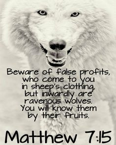 15 Beware of false prophets, who come to you in sheep's clothing but ...