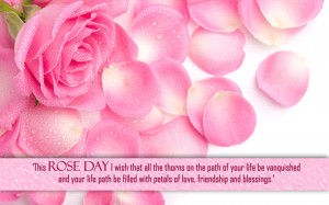 Pink Rose Quotes Beauty of rose quotes quotes