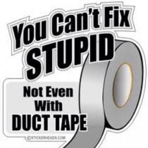 You Can't Fix Stupid
