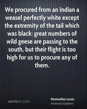Meriwether Lewis - We procured from an Indian a weasel perfectly white ...