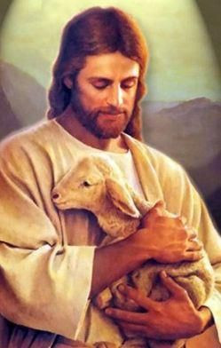 ... sheep ... I am the good shepherd; I know my sheep and my sheep know me