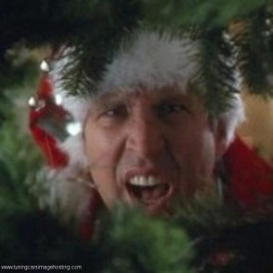 Chevy Chase National Lampoon s Christmas Vacation Quotes