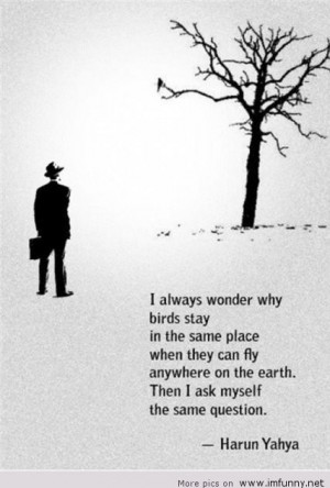 ... quote freedom cool quotes freedom freedom funny quotes freedom quote