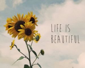 Sunflower Life Quotes Life is beautiful photo quote,