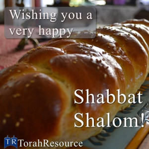 Shabbat Shalom! Find great Messianic studies for the weekly Shabbat!