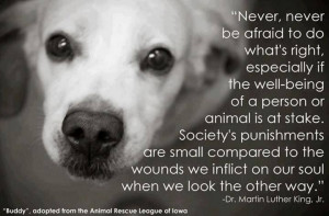 will Never look the other way!!