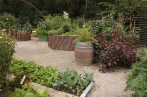 How to Make Your Patio (or Balcony) an Abundant Source of Food