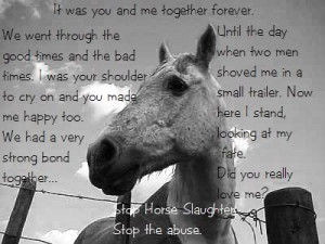 Okay here's some serious icons