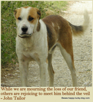 More Dog Grief Quotes
