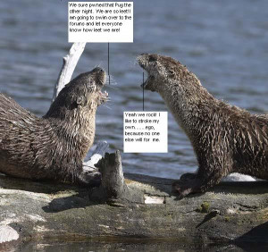 Gentle River Otter Meeting Image