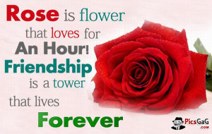 Friendship and Flower Quote and You Like This Friend Quote . “Rose ...