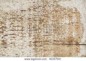 grunge weathered barn wood painted white - texture