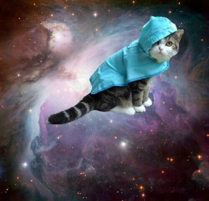 These Space Cats Are The...