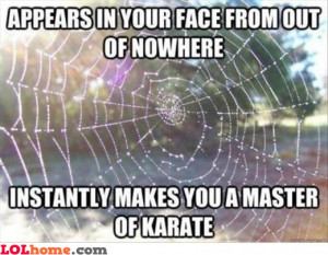 web spider ninja
