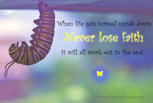 Monarch Caterpillar Photo w/ Inspirational Quote: Never Lose Faith