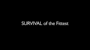 Survival of the Fittest (PREVIEW - May 2013)