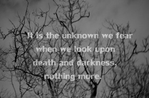 Harry Potter Quote or quote from the author.