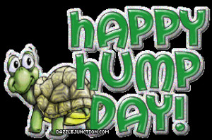 It's Hump Day.... Happy Wednesday!