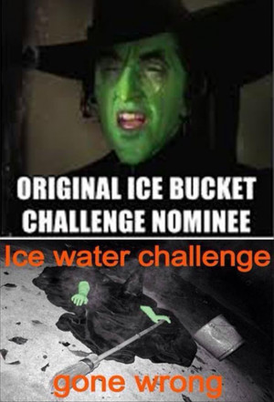 Ice Bucket Challenge Funnies – 18 Pics