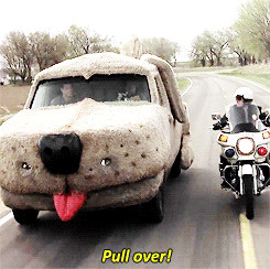 Top 16 amazing image quotes from movie Dumb and Dumber