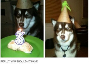 Oh_Yay_funny_picture