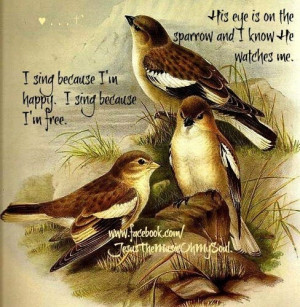God care for the sparrow and He cares for me.