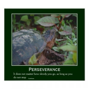 Perseverance Quote Turtle Motivational Inspirational Poster