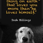 amazing-dog-quotes-pics-photos