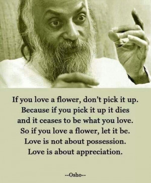 If you love a flower don't pick it