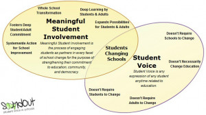 activities focused on meaningful student involvement and student voice ...