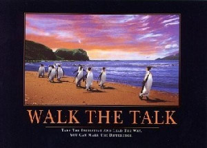 Walk the Talk (Penguins)