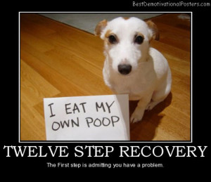 TWELVE STEP RECOVERY – The First step is admitting you have a ...