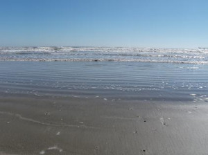 One of the things we look forward to in Heaven is reuniting with those ...