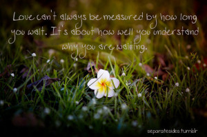 beautiful flowers quotes nice