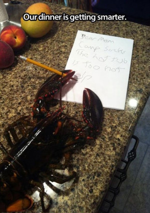 funny lobster