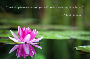 Look deep into nature, and you will understand everything better ...