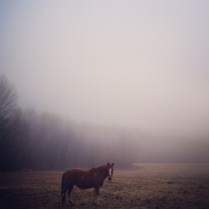 Japanese Tattoo Symbols | Kanji Tattoos