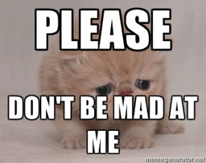 Super Sad Cat - PLEASE DON'T BE MAD AT ME