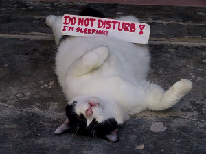 Do Not Disturb I’m Sleeping