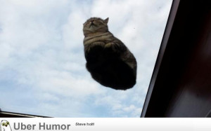 ... this-picture-she-just-woke-up-and-had-this-fella-sleeping-over-her-bed