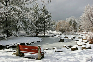 Winter Pond - Photograph at BetterPhoto.com