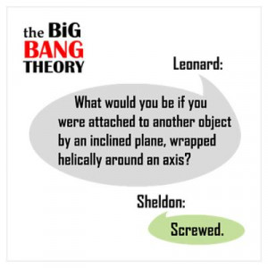 CafePress > Wall Art > Posters > Sheldon's Screwed Quote Poster