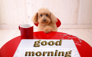 Good Morning Tea Cup Dog Wallpapers
