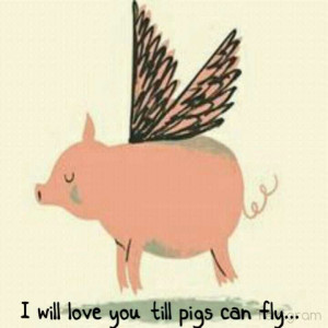Till pigs can fly