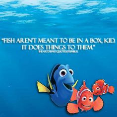 Fish aren't meant to be in a box. Finding Nemo quote. More