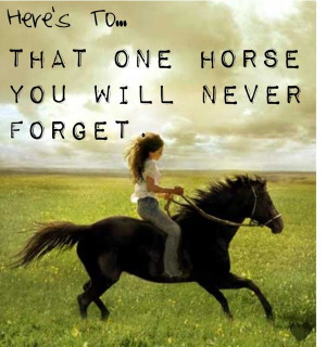 ... , Horses, Beautiful Hors, Country Girls, Flicka, Hors Quotes, Forget