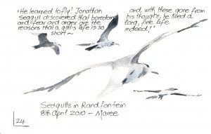 Seagulls in Randfontein - a quick watercolour study in my Moleskine ...