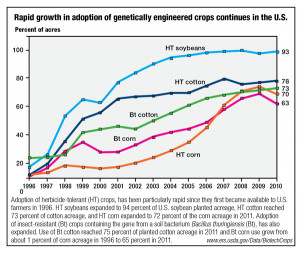 Genetically Modified Foods: Are They Putting Your Health at Risk?