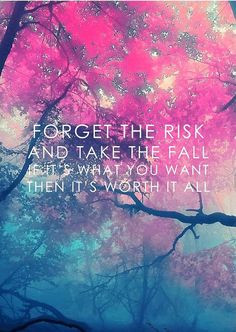 FORGET THE RISK and the the FALL If It's What You Want Then It's Worth ...